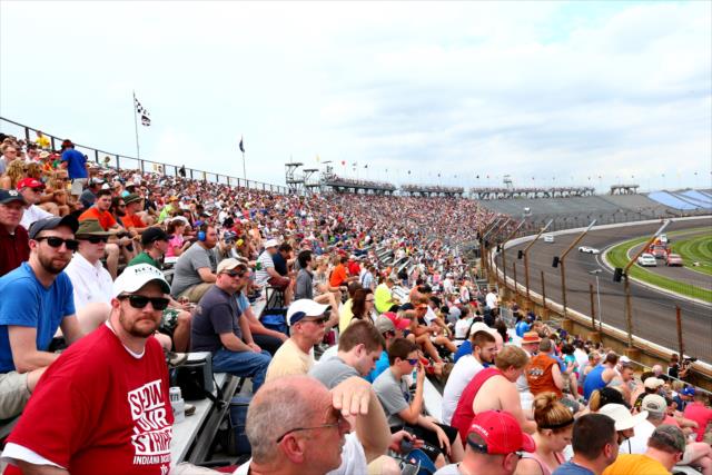 Fans watch the action at the Angie's List Grand Prix of Indianapolis -- Photo by: Bret Kelley