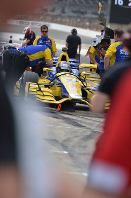 Marco Andretti in pit lane -- Photo by: Eric Anderson