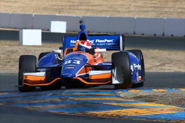 Charlie Kimball navigates the Turn 9 Esses during practice for the GoPro Grand Prix of Sonoma -- Photo by: Chris Jones