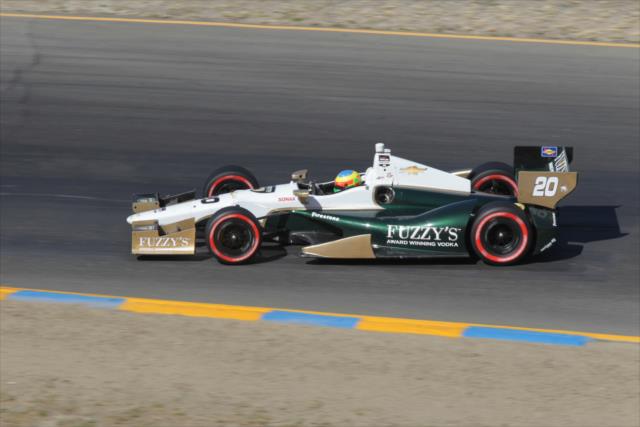 Mike Conway heads towards Turn 3 during the GoPro Grand Prix of Sonoma at Sonoma Raceway -- Photo by: Joe Skibinski