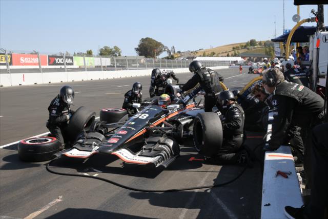 Gabby Chaves comes in for service on pit lane during the GoPro Grand Prix of Sonoma at Sonoma Raceway -- Photo by: Chris Jones