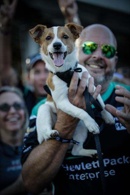 Simon's dog, Norman, is all smiles in Victory Lane following the GoPro Grand Prix of Sonoma -- Photo by: Shawn Gritzmacher