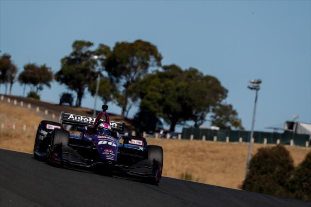 Jack Harvey crests the hill toward Turn 3 during practice for the INDYCAR Grand Prix of Sonoma at Sonoma Raceway -- Photo by: Joe Skibinski