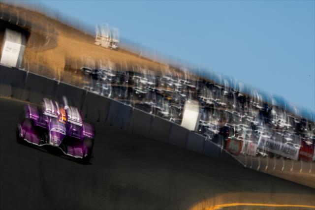 Santino Ferrucci dives into the Turn 6 Carousel turn during practice for the INDYCAR Grand Prix of Sonoma at Sonoma Raceway -- Photo by: Joe Skibinski