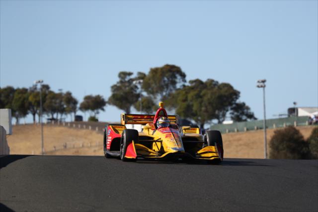 Ryan Hunter-Reay sets up for the Turn 6 Carousel turn during the INDYCAR Grand Prix of Sonoma at Sonoma Raceway -- Photo by: Chris Jones