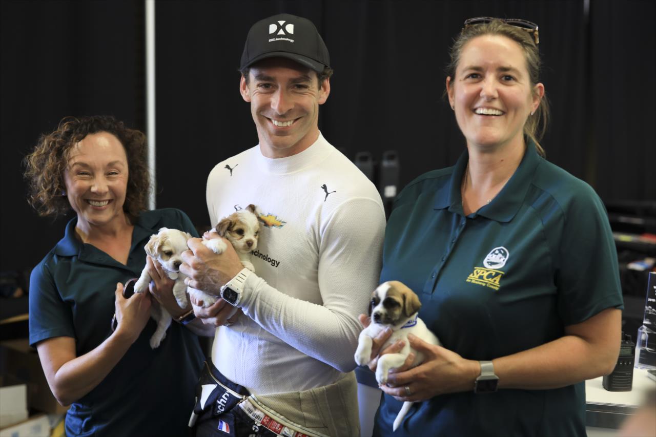 Simon Pagenaud meeting with SPCA for Monterey County adoptable dogs Simon, Hailey and Norman -- Photo by: Chris Owens