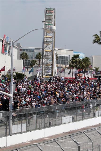 Fans pack the stands along Shoreline Drive during the 2017 Toyota Grand Prix of Long Beach -- Photo by: Richard Dowdy