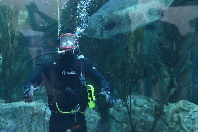 James Hinchcliffe explores Aquarium of the Pacific's Honda Blue Cavern - Wednesday, April 11, 2018