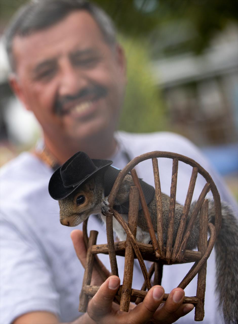 Sinan the Celebrity Squirrel takes a rest from the heat while visiting the Big Machine Music City Grand Prix - By: Travis Hinkle -- Photo by: Travis Hinkle