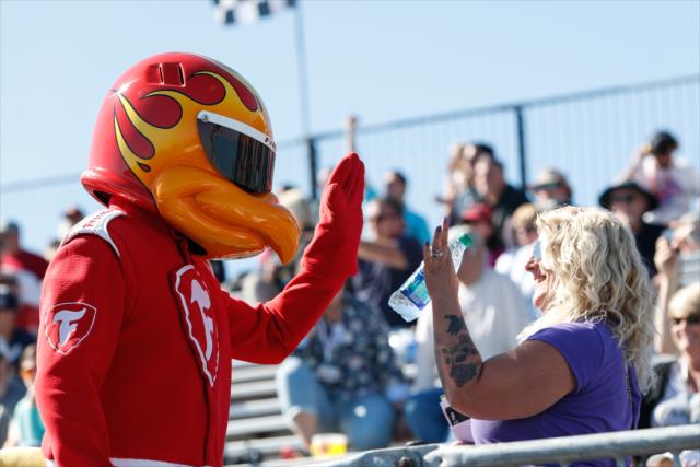The Firestone Firehawk gives a high-five to a fan in the stands during practice for the Firestone Grand Prix of St. Petersburg -- Photo by: Joe Skibinski